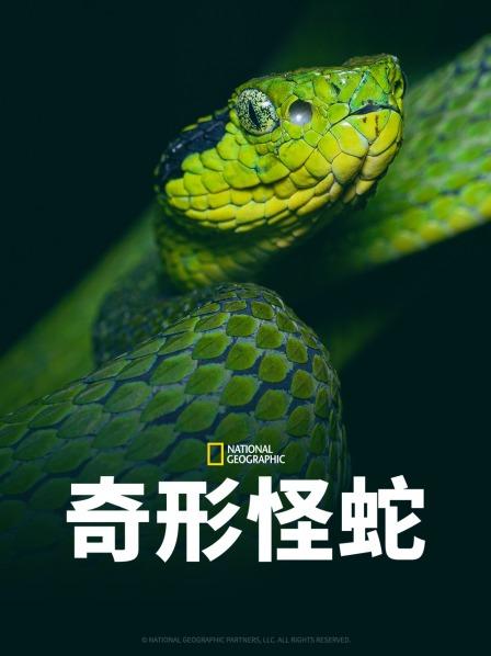 杏吧视频《奇形怪蛇》免费在线观看